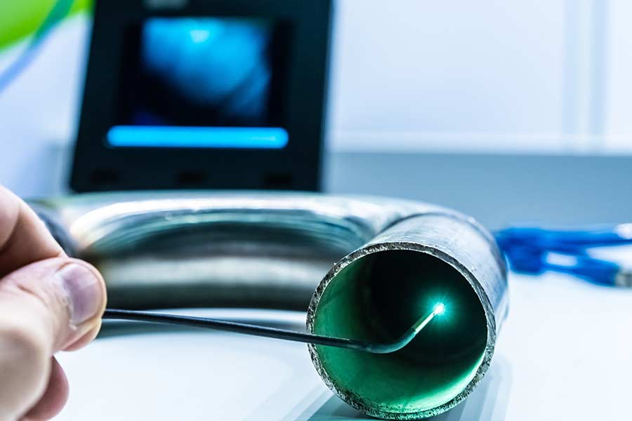 Nuisibles, AM Débouchage à Marseille